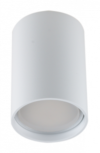R 51A .D55 WH Накладной неповоротный (Акция)