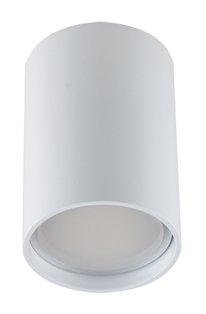 R 51A .D55 WH Накладной неповоротный (Акция)